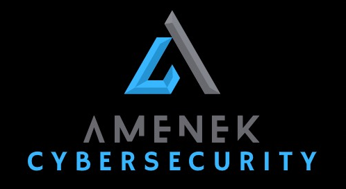 amenek cybersecurity consultancy